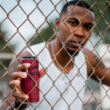 Dragon Pomegranate (12 Pack)